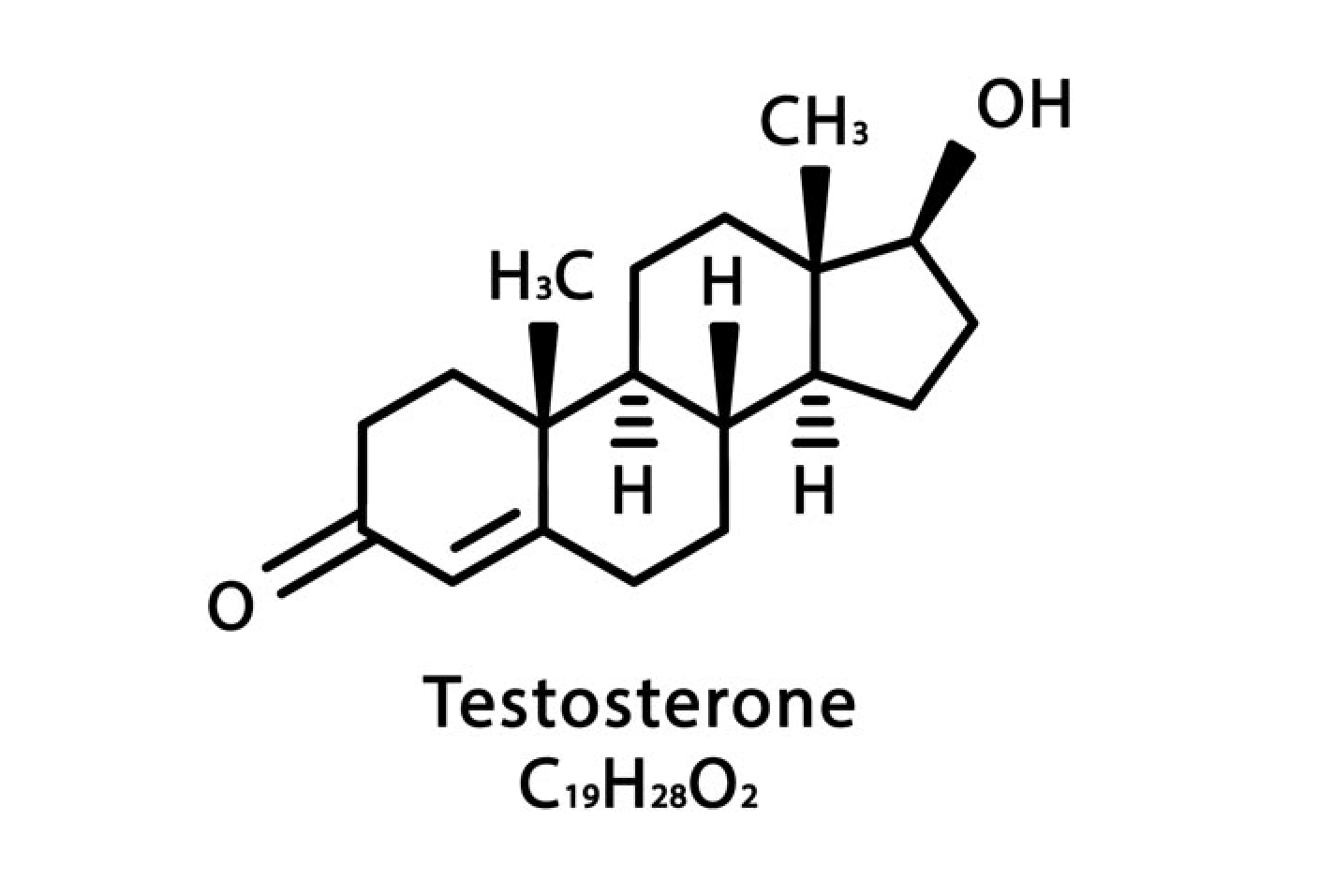 nam giới có nhiều hormone testosterone hơn