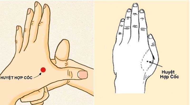 Huyệt Hợp Cốc giúp giảm đau, hạ sốt nhẹ và hỗ trợ giảm nghẹt mũi