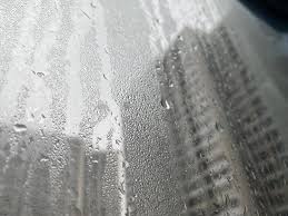 trời nồm ẩm dễ mắc bệnh