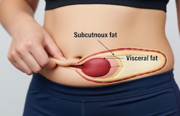 Phân biệt Mỡ Nội Tạng (VAT) và Mỡ Dưới Da (SAT)