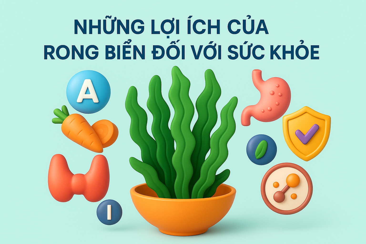 rong biển chống oxi hoá