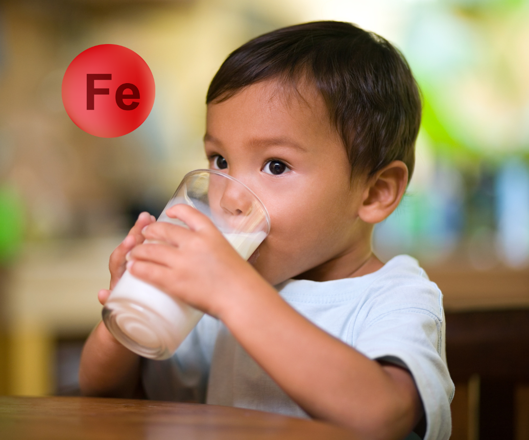 Uống quá nhiều sữa bò có thể gây thiếu sắt ở trẻ
