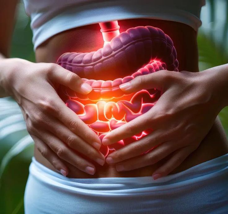 tiêu hoá tốt cũng là biểu hiện của đề kháng khoẻ