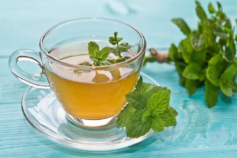 Trà bạc hà dịu cơn ho