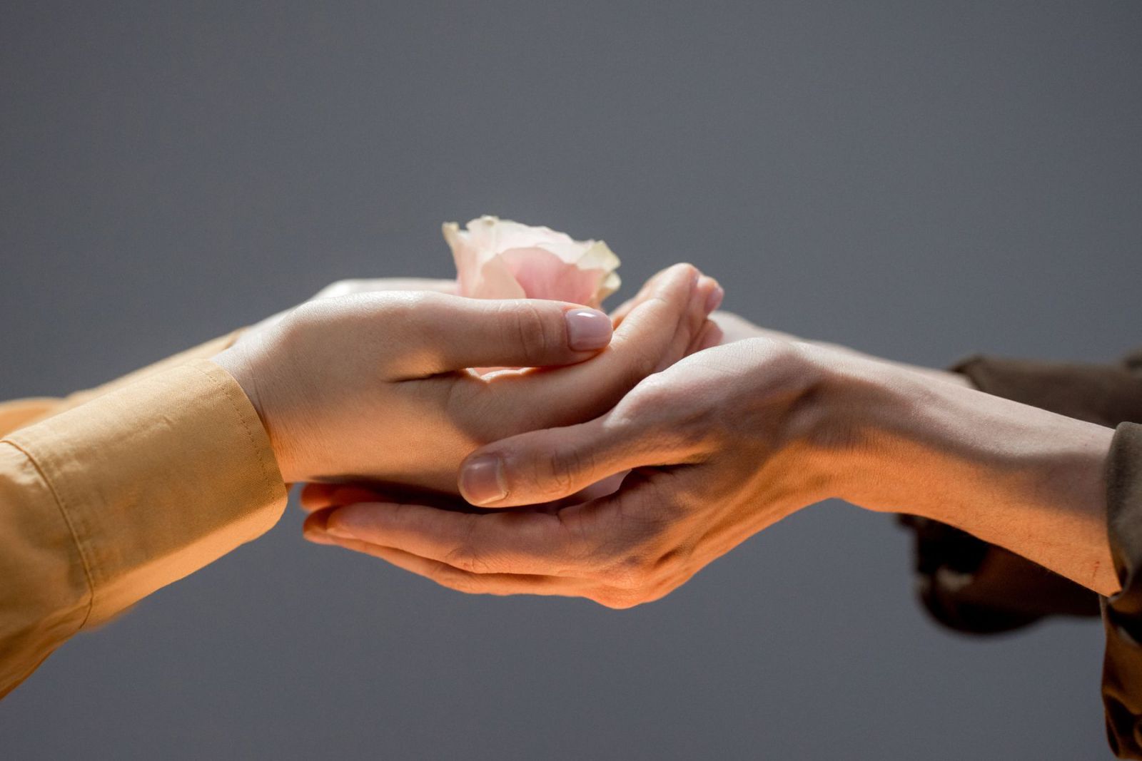 cho đi khiến bạn cảm thấy tốt hơn